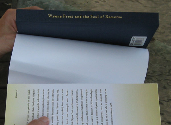 The spine of the hardback version of Wynne Frost and the Soul of Remorse with title engraved on the spine.